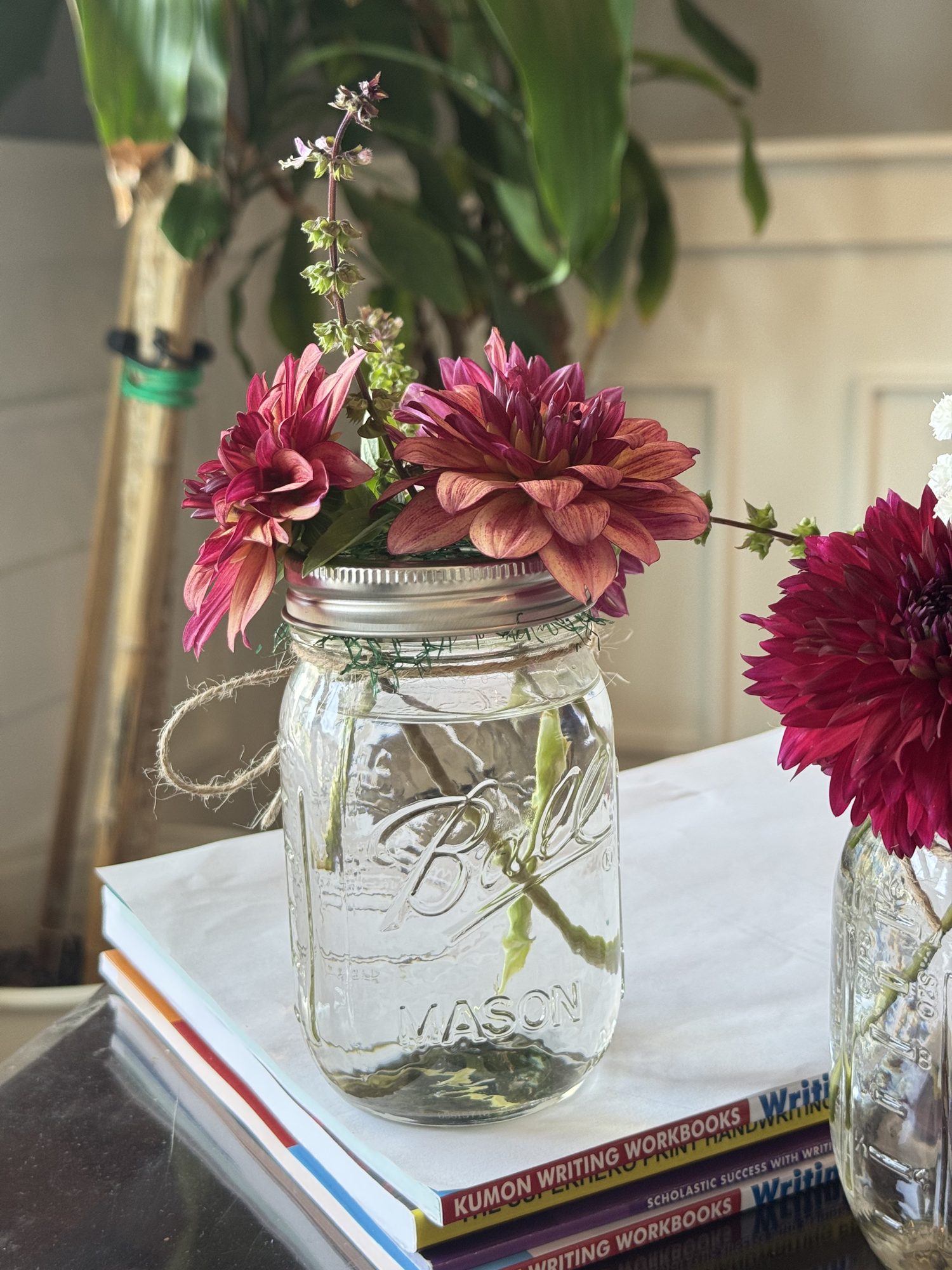A bouquet of pink and coral dahlias in a glass mason jar tied with twine.